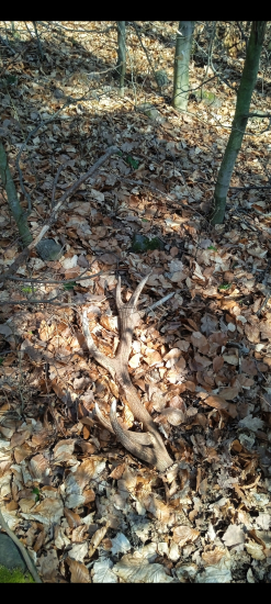 Keď fotíš no ešte nevieš že 3m od teba leží druhý