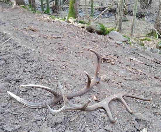 Jeden horizont,jedno ležovisko a dva do počtu