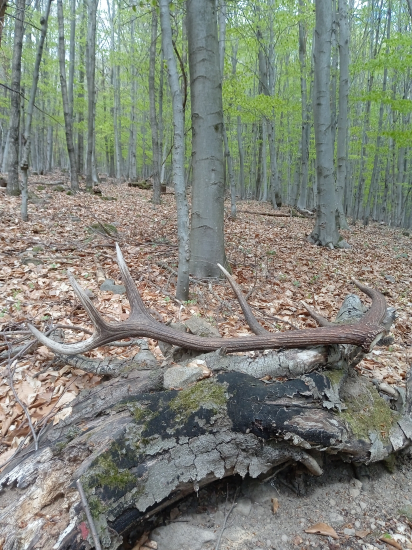 Tak predsa ešte prekvapenie