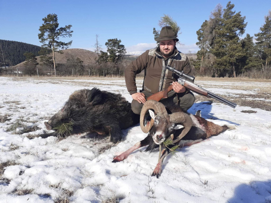 Polovacka na Muflona