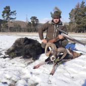 Polovacka na Muflona