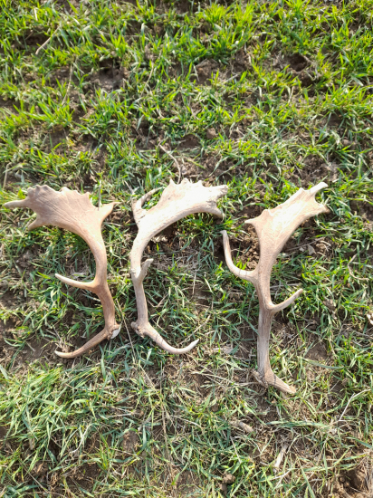 Krásny dar od prírody