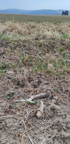 Neskutočne pocity...