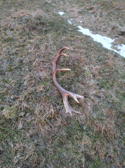 Takto to začalo ...