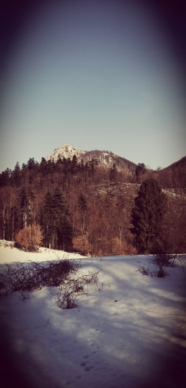 Lazi...