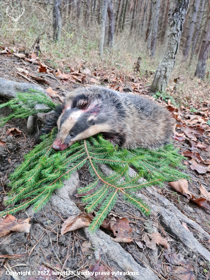 Konečne :)