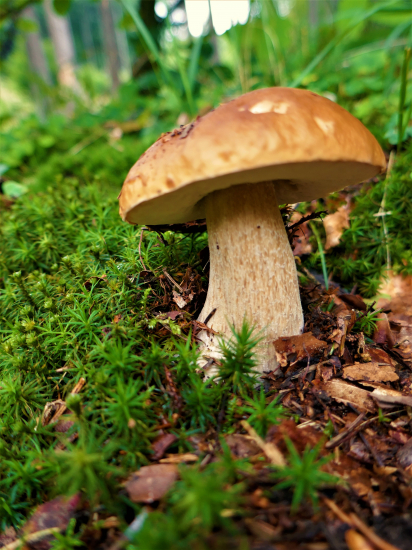 Spravím ti fotku...