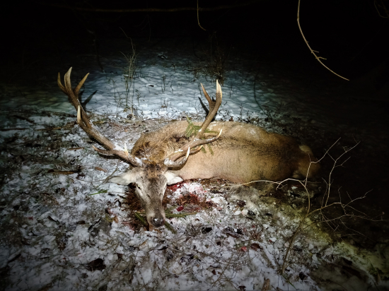 Posledný do plánu lovu.