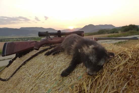 Tak sa konečne podarilo .