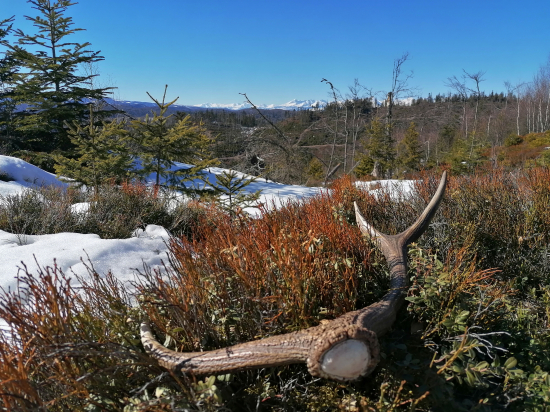 Dnešný deň konečne už ide snnch dole