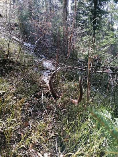 Taký menší osmascik 2.60kg