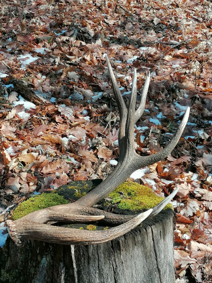 Kto sa motá, aj sa pritrafí