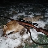 Privabeny nordik fox heat
