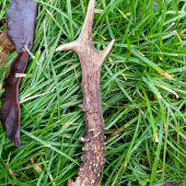 Šťastné a veselé