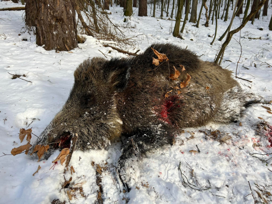 Trápenie ukončené