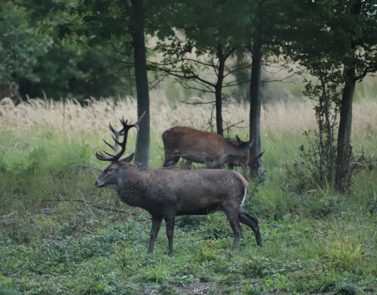 Koľko rokov by ste mi dali?
