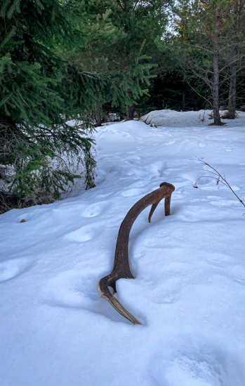 Keď sa srdce zastaví…