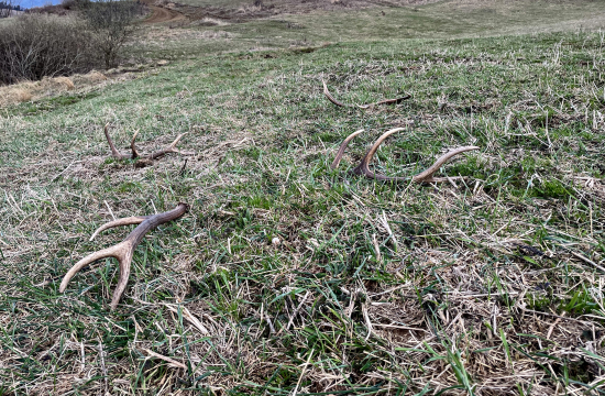 Keď neprší, aspoň kvapka.