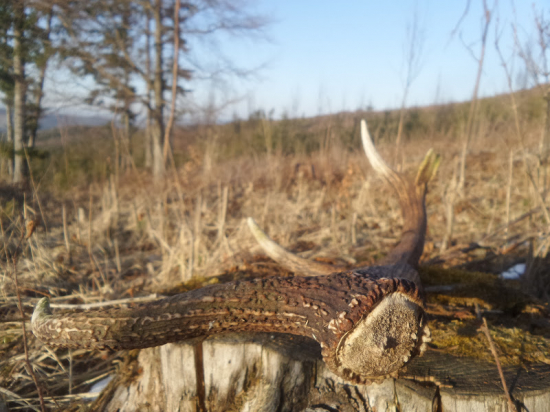 V slnečných lúčoch...