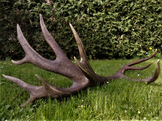 Z rodu výnimočných...