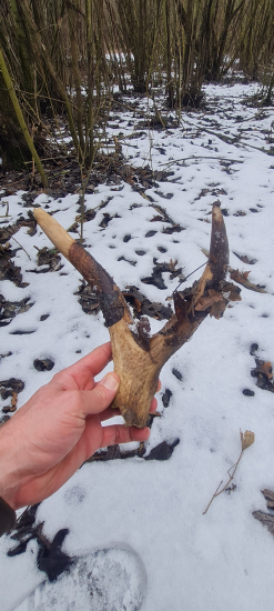 Vela z neho neostalo....