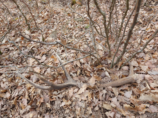 Pekne odložený 10-torák