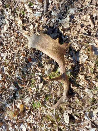 Keď neprší, tak aspoň kvapká