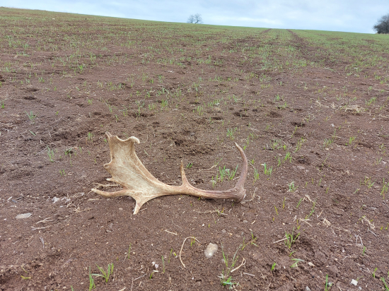 Po dlhšej prechádzke