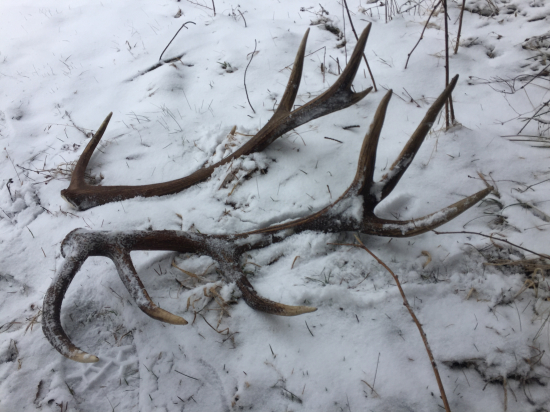 Keď znova nasnežilo