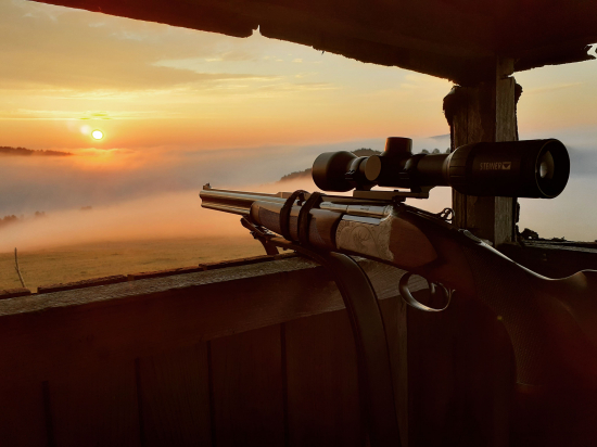 Ráno ma svoje čaro