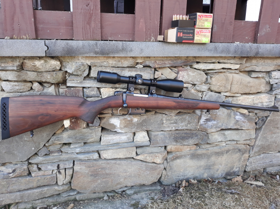 22Hornet cz 527