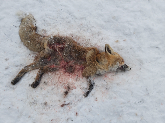 Asi mala slabý kabát;-)