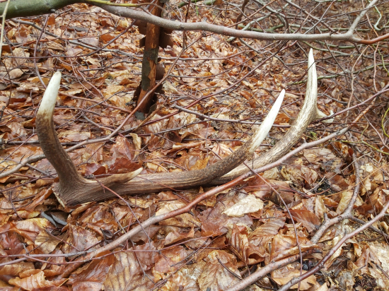 Veľkonočna Sobota 2022