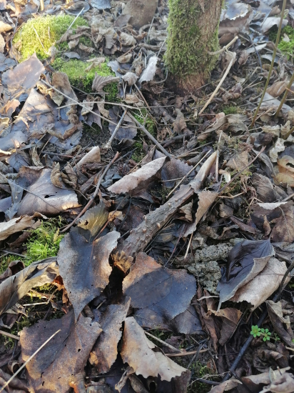 Konečne mi jeden do očí udrel