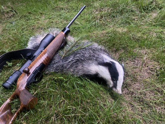 Z večernej posliedky