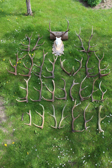 Tohtoročná sezóna