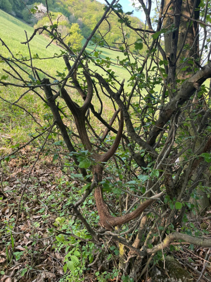 Takto na mňa čakal....