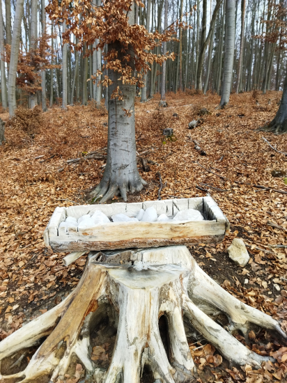 Doplnené Julkovo solisko