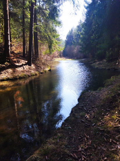 Farárove   jazierko