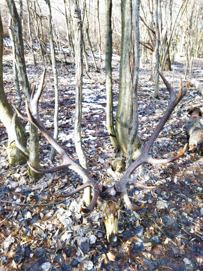 Za Trnkovým kerem 2