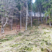 Sedačka