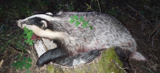 Prvý, prvučičký, prvý !