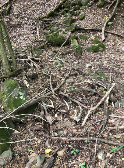 stary 12 torak v jarku