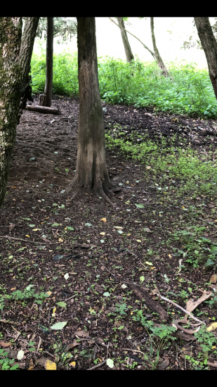 prekvapko pod soliskom