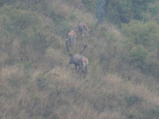 Keď pršalo mrholilo