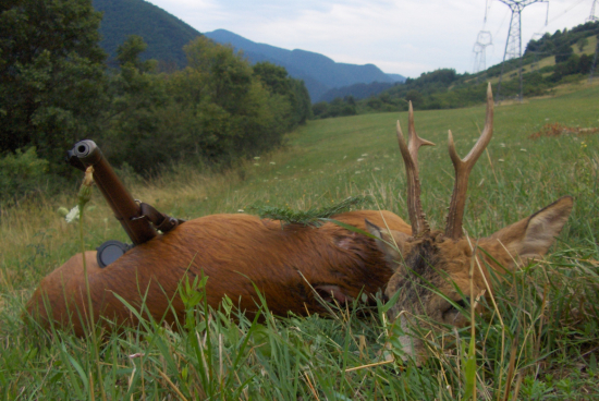 Ako som rezignoval na raritu