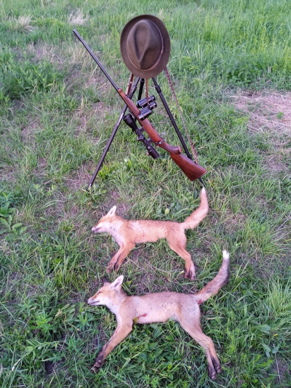 Večerná postrieška.