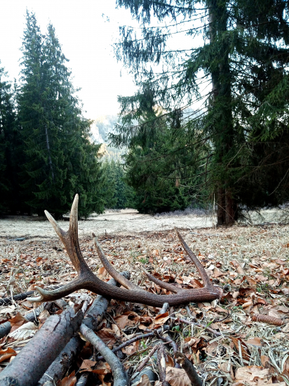 14.stka v tichej doline!