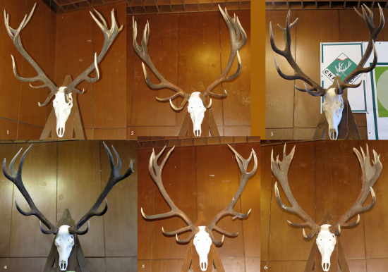 šesť kráľov z Poľany