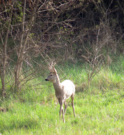 dnes sme sa stretli dvakrát :)